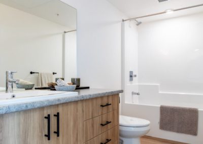 New washroom with wood cabinet and black washroom accessories